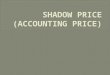 7. Shadow Price Skib
