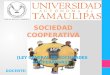 Exposición Sociedad Cooperativa en México