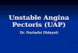 88058728 Unstable Angina Pectoris UAP
