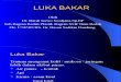 Luka Bakar & Operasi Kecil