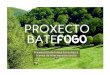 Proxecto Batefogo