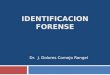 Identificacion Forense (IV)