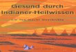 Backhuis, Paula - Gesund Durch Indianer-Heilwissen - Ein Tee Macht Geschichte - Flor Essence (2012, 224 S., Text)
