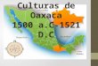 Culturas de Oaxaca (moluscos)