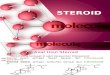 STEROID (Revisi Akhir)
