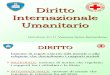 Lez i One Diritto Internazionale Um Anita Rio