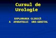 Curs 1 Urologie