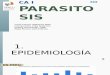 Parasitosis TRABAJO