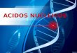 Acidos Nucleicos.pptx