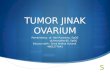 tumor jinak ovarium williams