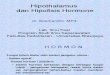 Hiphotalamus & hipofise