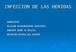 INFECCION DE LAS HERIDAS.ppt