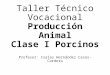 Taller Técnico Vocacional - Producción Animal - Clase I Porcinos