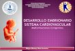 Embriologia y Patologias Congenitas (1)
