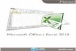 Manual Microsoft Office Excel 2010