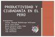 Productividad y Ciudadanía en El Perú