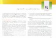 5 Epitelio y glándulas (1).pdf