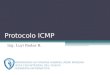 010-Protocolo ICMP