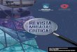 Revista Miradas Criticas. Espacio público y protesta magisterial, CNTE, IISUABJO COMECSO_Noelia Ávila Delgado