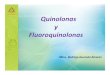 Quinolonas y Fluoroquinolonas Mtra Rodrigo Guzman