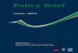 Cidades-BRICS - Policy Brief