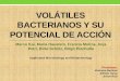 Volátiles Bacterianos y Su Potencial de Acción