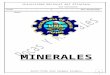 Formato para Reconocimiento de Minerales