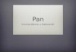 Elaboración de Pan