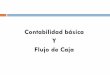 Contabilidad Basica y Flujo de Caja Ult 20992 (3)