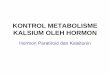 6.Hormon Paratiroid, Kalsitonin
