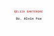 Dr. Alvin Fox Dr. Alvin Fox QELIZA BAKTERORE. Fjalët kyçe Prokariot Eubaktere (Baktere) Archaebacteria (Archaea) Eukariot Plazmid Kromosom Ribosom Peptidoglikan