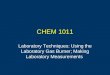 CHEM 1011 Laboratory Techniques: Using the Laboratory Gas Burner; Making Laboratory Measurements