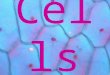 Cells. What is a cell? A cell is the smallest functional unit of life (it is the smallest, most simple thing that can still be considered living) It is