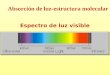 Espectro de luz visible Absorción de luz-estructura molecular