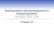 Reproduction and Development in Flowering Plants ( 현화식물의 생식과 발달 ) Chapter 34