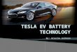 By: Arielle Solheim.  Founded by Elon Musk (Paypal), Martin Eberhard, Mark Tarpenning, JB Straubel, and Ian Wright  Tesla “Roadster”  Nikola Tesla