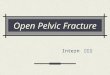 Open Pelvic Fracture Intern 蕭福慶. Brief History 42 y/o female, denied systemic disease Pedestrian hit by car on 94.12.9 Lower limbs numbness, back pain