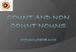 Count and Non Count Nouns  The basic rules: Count and noncount nouns  Count and noncount nouns with adjectives  Other basic rules