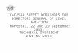 ICAO/SAA SAFETY WORKSHOPS FOR DIRECTORS GENERAL OF CIVIL AVIATION (Montréal, 22 and 29 September 2013) T ECHNICAL O VERSIGHT W ORKING G ROUP