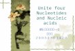 Unite four Nucleotides and Nucleic acids 05 级生物技术一班 游琼英 ２００５２５０３４２０