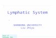 Dept of Anatomy SDU Lymphatic System SHANDONG UNIVERSITY Liu Zhiyu €‚