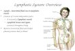 Lymphatic System: Overview Lymph – interstitial fluid once in lymphatic vessels Consists of 2 semi-independent parts: – A network of lymphatic vessels