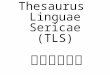 Thesaurus Linguae Sericae (TLS) 新編漢文大典. AN HISTORICAL AND COMPARATIVE ENCYCLOPAEDIA OF CHINESE CONCEPTUAL SCHEMES A CONSTRUCTION SITE ON THE WEB