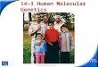 Slide 1 of 24 Copyright Pearson Prentice Hall 14–3 Human Molecular Genetics 14-3 Human Molecular Genetics