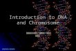 東海大學物理系‧計算科學總論 Introduction to DNA and Chromosome 東海大學數學系／物理系／環科系 施奇廷
