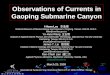 Observations of Currents in Gaoping Submarine Canyon I-Huan Lee 李逸環 National Museum of Marine Biology and Aquarium, Pingtung, Taiwan, 944-50, R.O.C. ihlee@nmmba.gov.tw