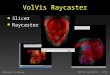 Kalkusch & Rautek VolVis Raycaster - 1/12 VolVis Raycaster n Slicer n Raycaster