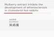 Mulberry extract inhibits the development of atherosclerosis in cholesterol-fed rabbits 生科四甲 91240253 吳威儀