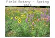 Field Botany â€“ Spring 2013. Course Website