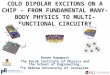 COLD DIPOLAR EXCITONS ON A CHIP – FROM FUNDAMENTAL MANY-BODY PHYSICS TO MULTI-FUNCTIONAL CIRCUITRY Ronen Rapaport The Racah Institute of Physics and the